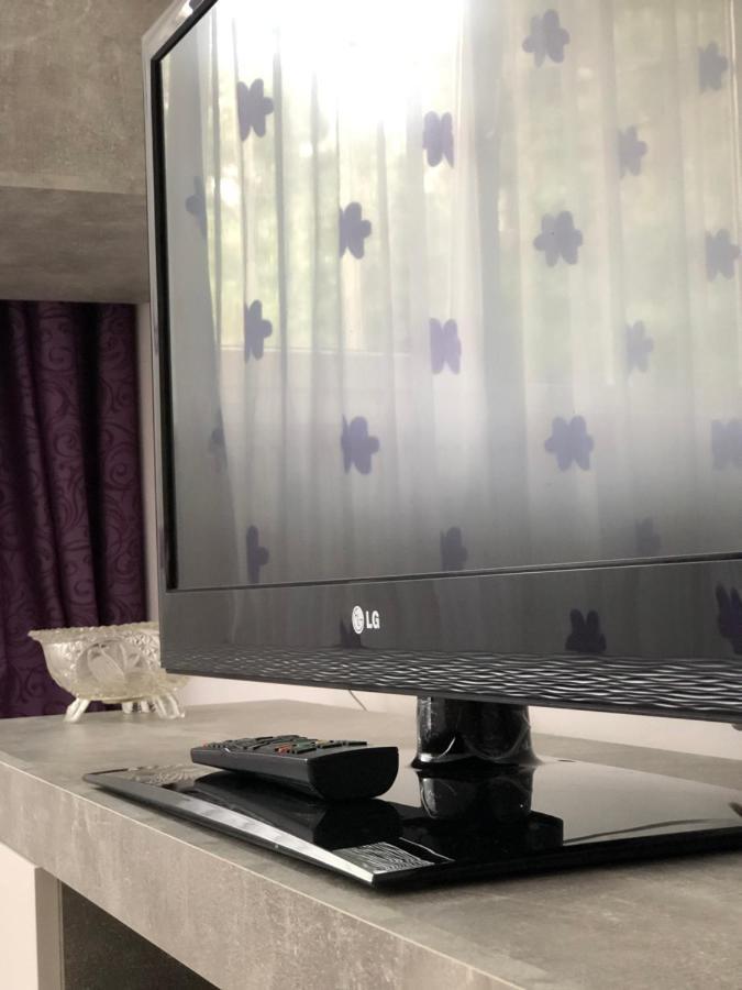 Le Garcon De Cristina-Simple,Quiet,Spacious Studio ブカレスト エクステリア 写真
