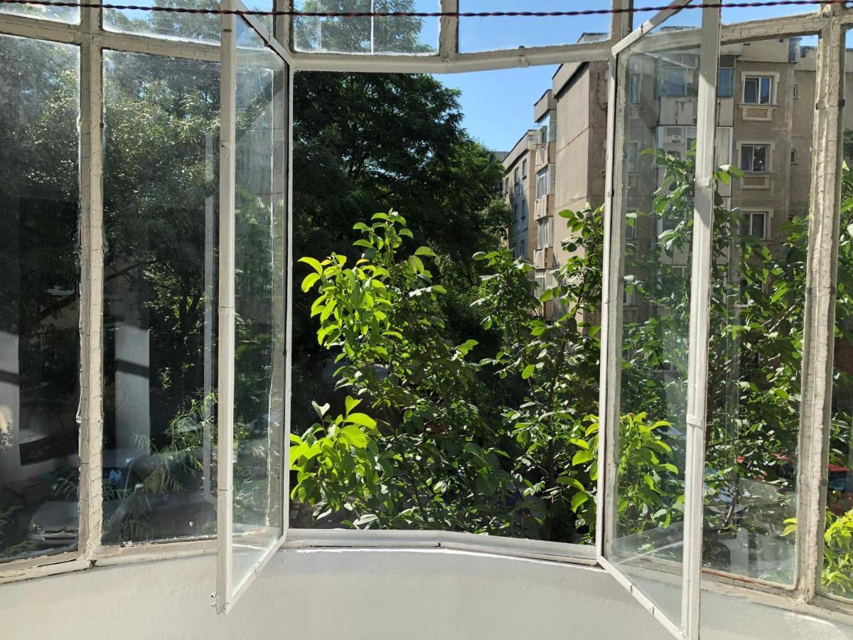 Le Garcon De Cristina-Simple,Quiet,Spacious Studio ブカレスト エクステリア 写真