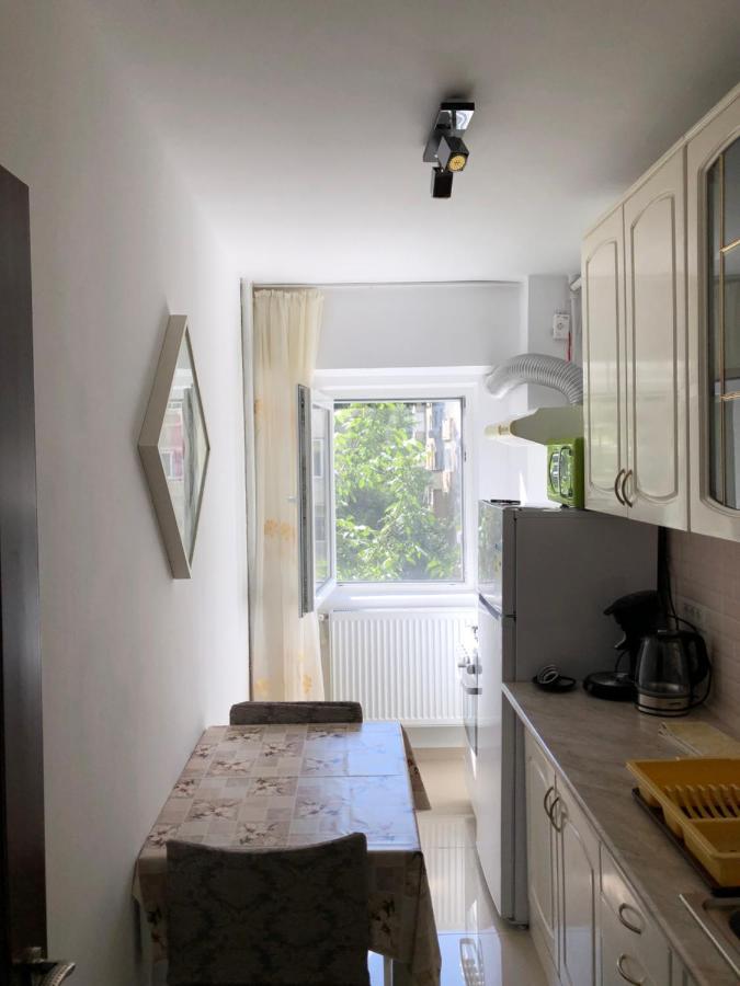 Le Garcon De Cristina-Simple,Quiet,Spacious Studio ブカレスト エクステリア 写真